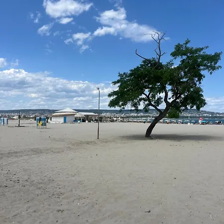 Elizi Summer House In South Bay Appartamento *